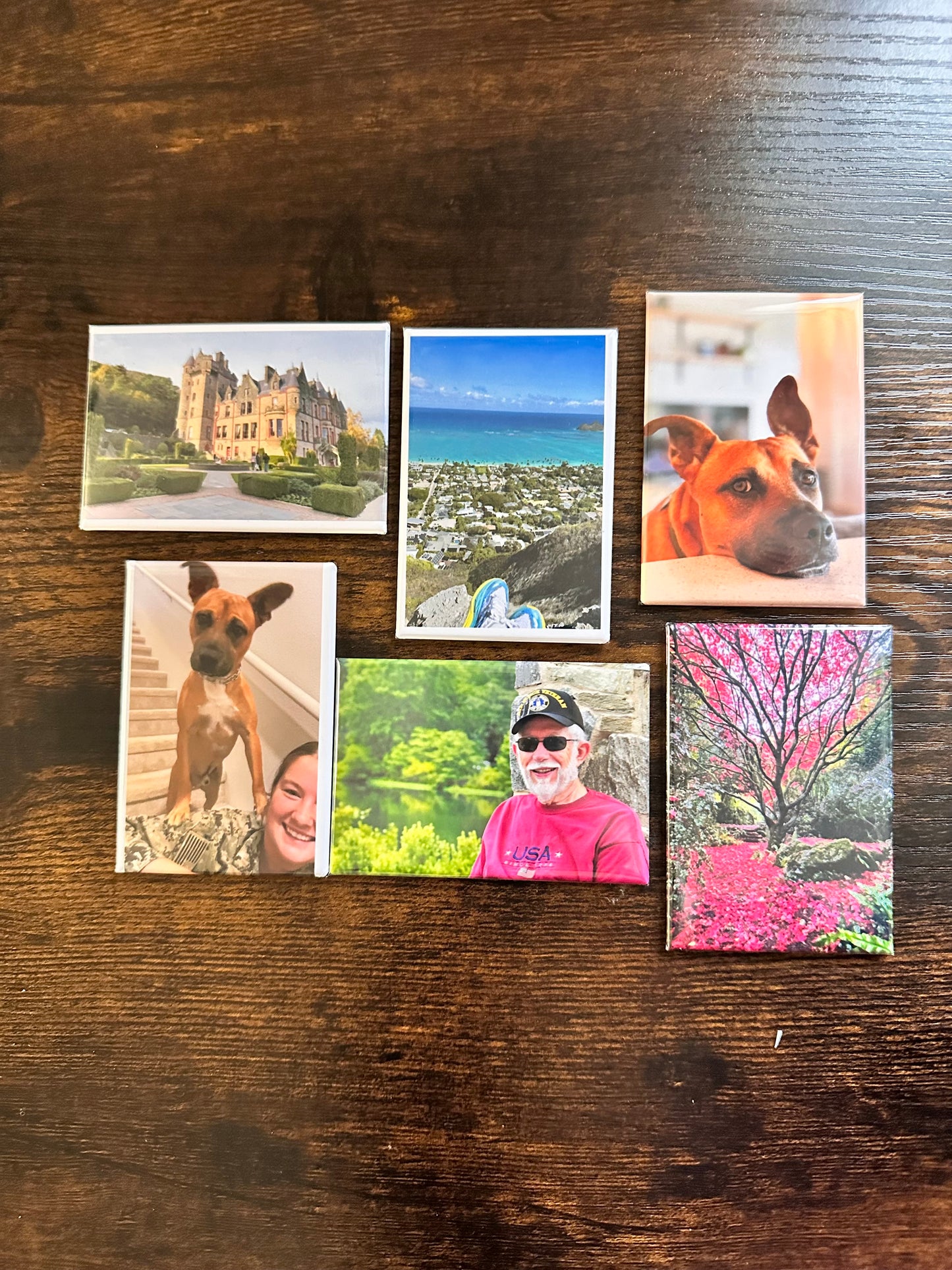 2x3 Custom Photo Magnets (Set of 8)