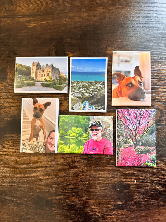 2x3 Custom Photo Magnets (Set of 6)